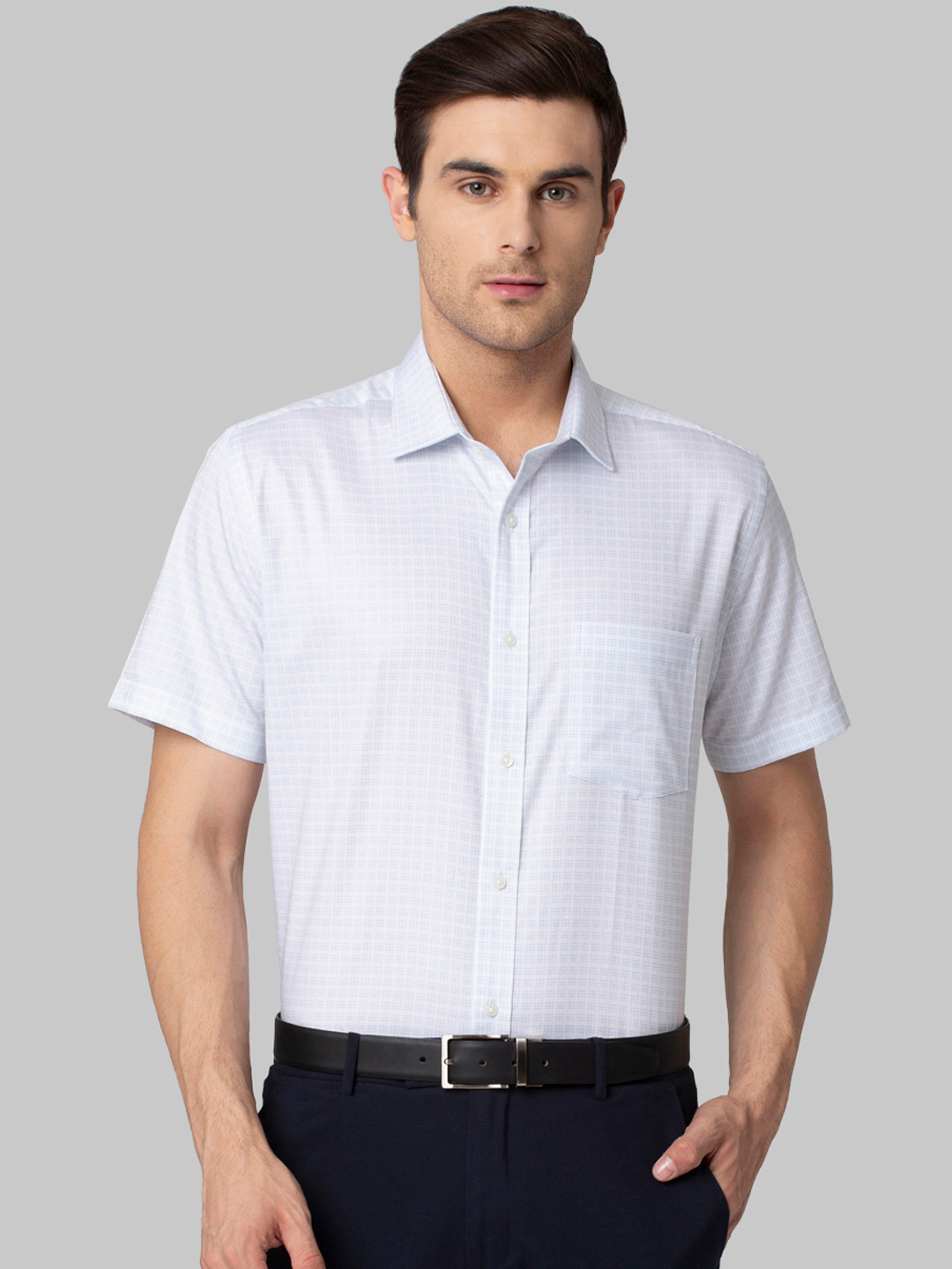 

Park Avenue Men Blue Regular Fit Checked Formal Shirt