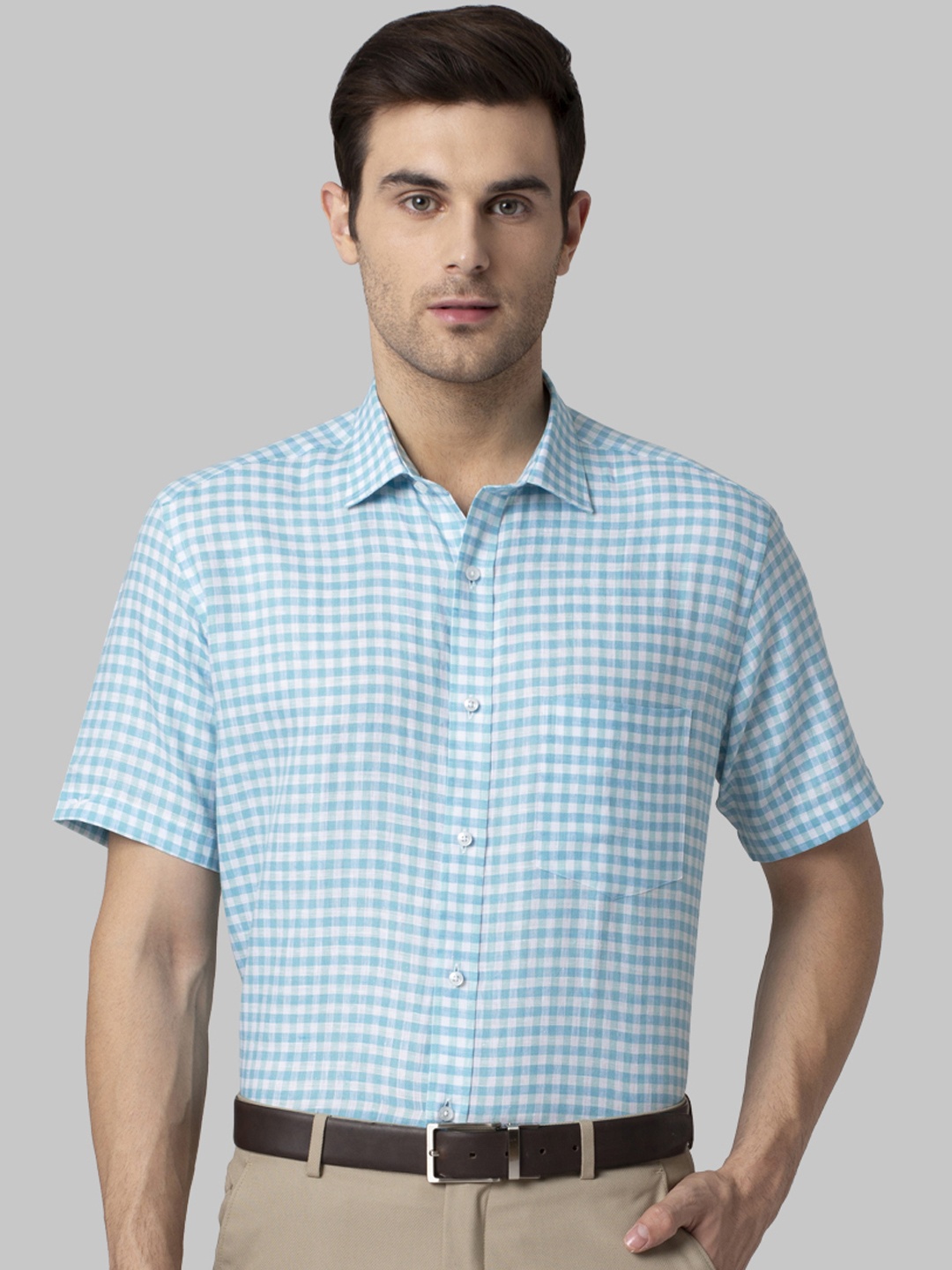 

Park Avenue Men Blue & White Regular Fit Checked Formal Shirt