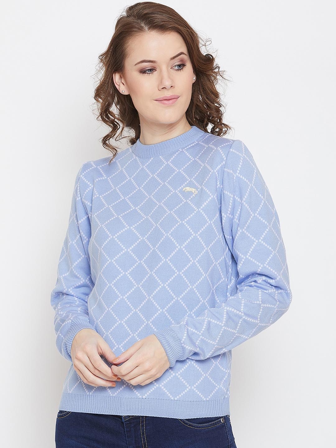 

JUMP USA Women Blue Checked Sweater