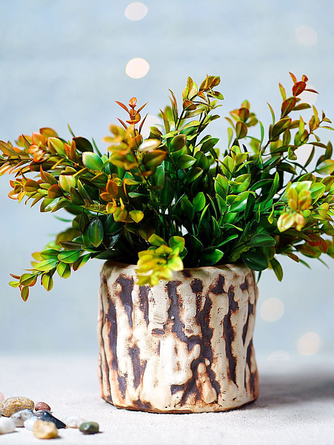 

Unravel India Brown Ceramic Cylindrical Table Top Planter