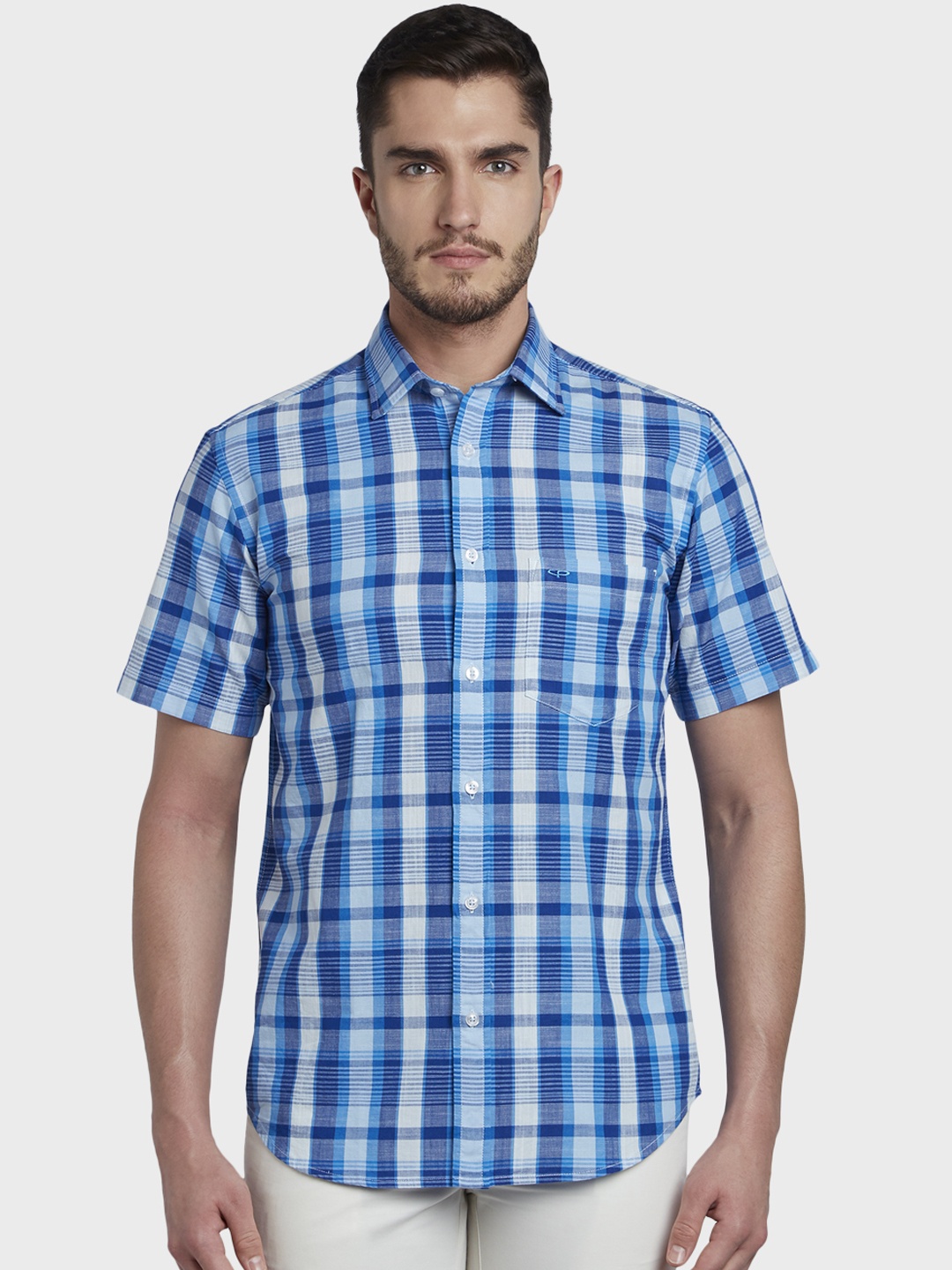 

ColorPlus Men Blue & White Tailored Fit Checked Casual Shirt