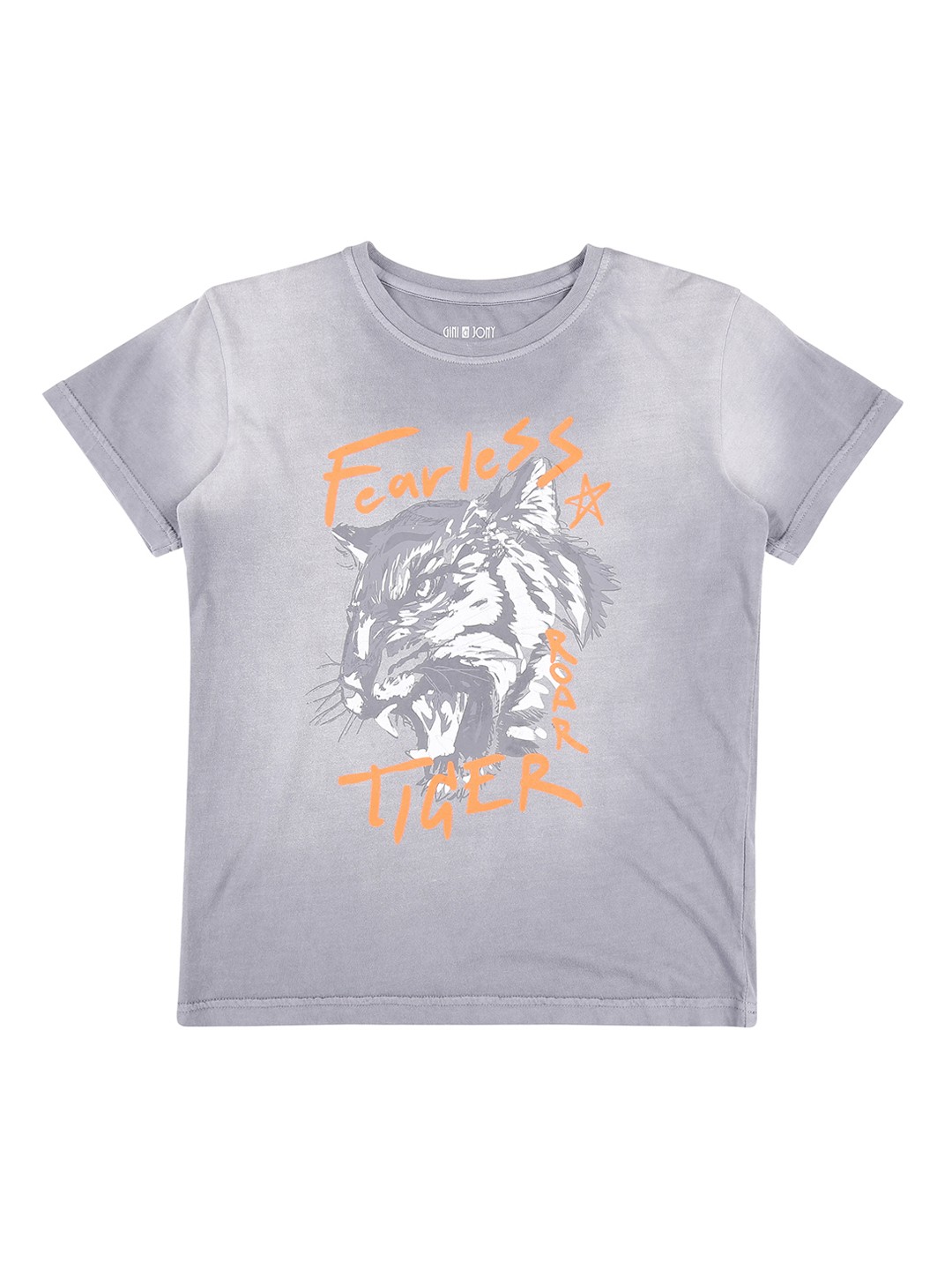 

Gini and Jony Boys Grey Printed Round Neck T-shirt