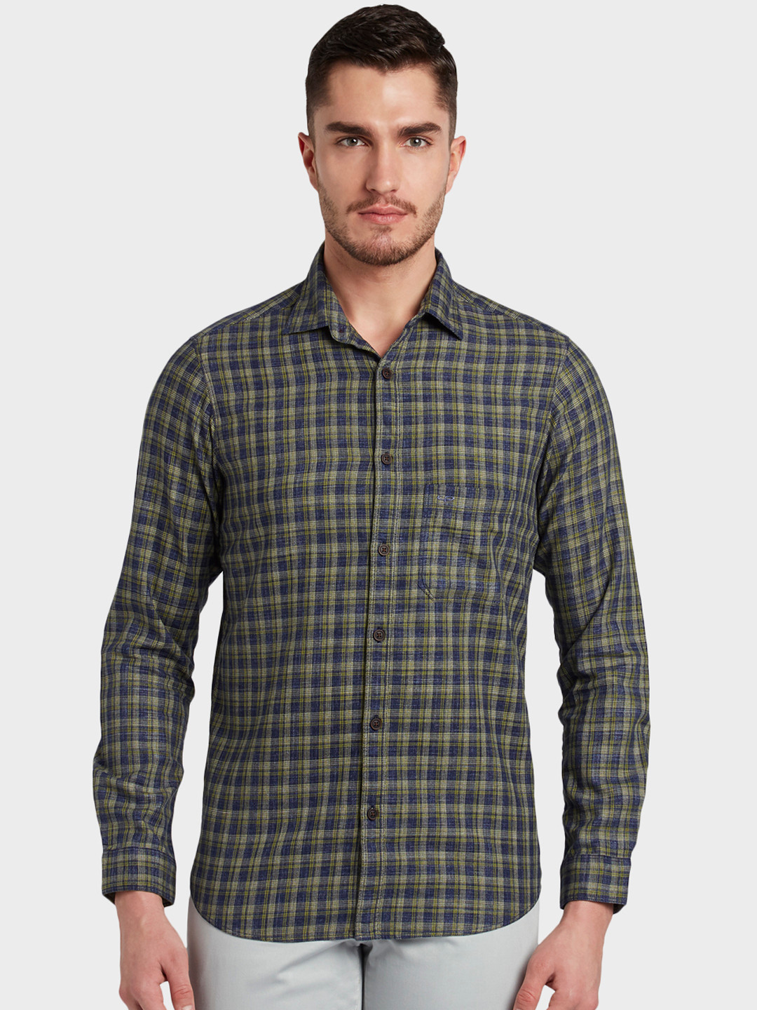 

ColorPlus Men Green Regular Fit Checked Casual Shirt