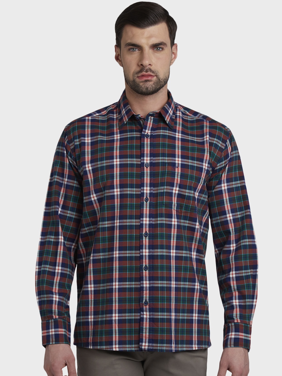 

ColorPlus Men Multicoloured Regular Fit Checked Casual Shirt, Multi