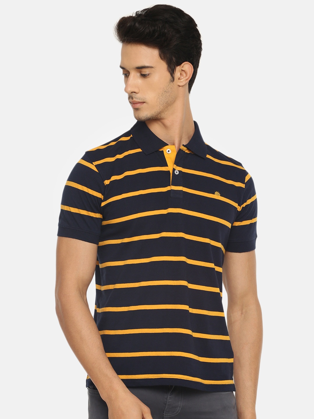 

Chennis Men Navy Blue Striped Polo Collar T-shirt