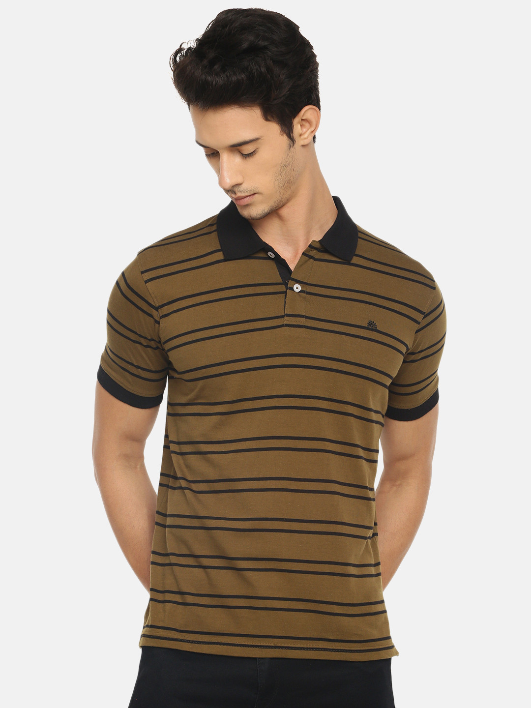 

Chennis Men Olive Green Striped Polo Collar T-shirt