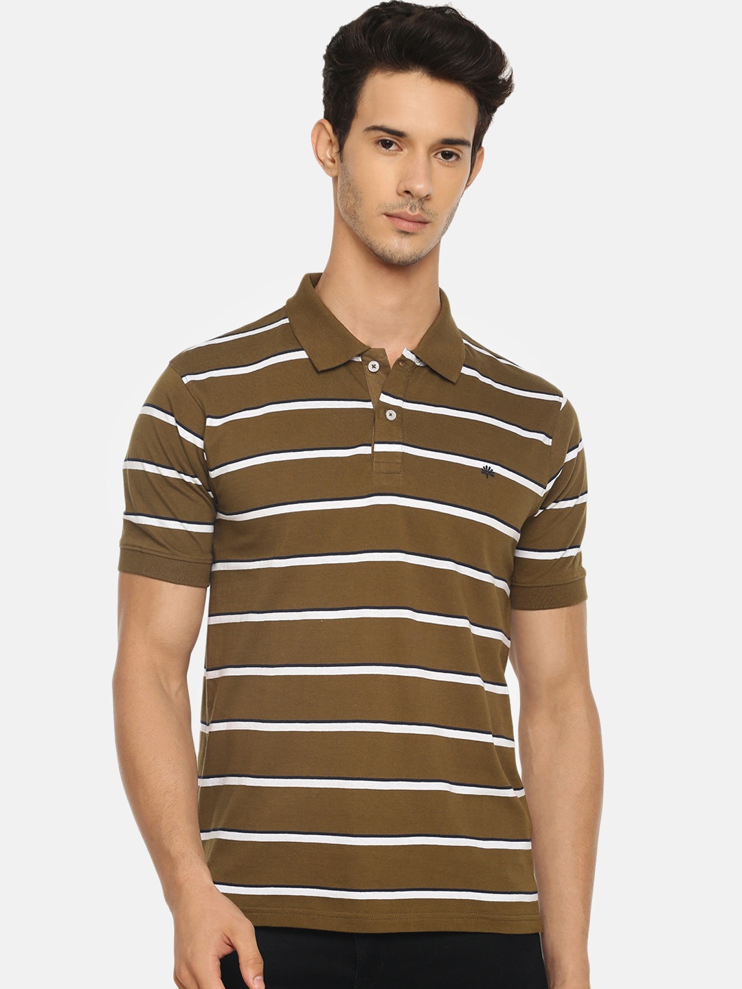 

Chennis Men Olive Green Striped Polo Collar T-shirt