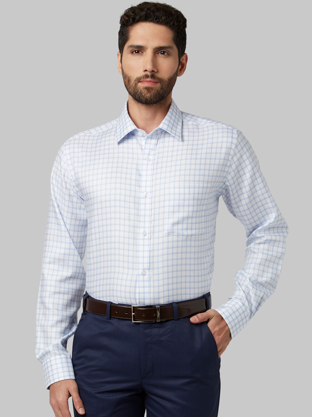 

Park Avenue Men Blue & White Regular Fit Checked Formal Shirt