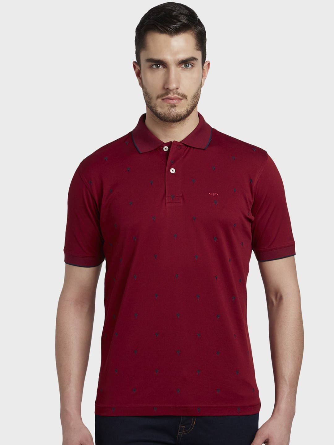 

ColorPlus Men Red Embroidered Polo Collar T-shirt