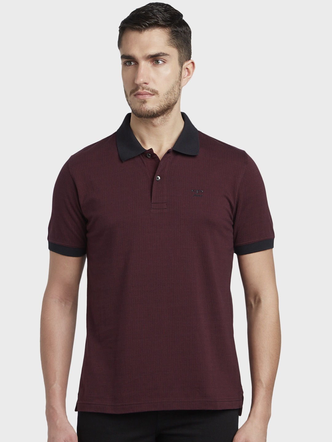 

ColorPlus Men Maroon Solid Polo Collar T-shirt