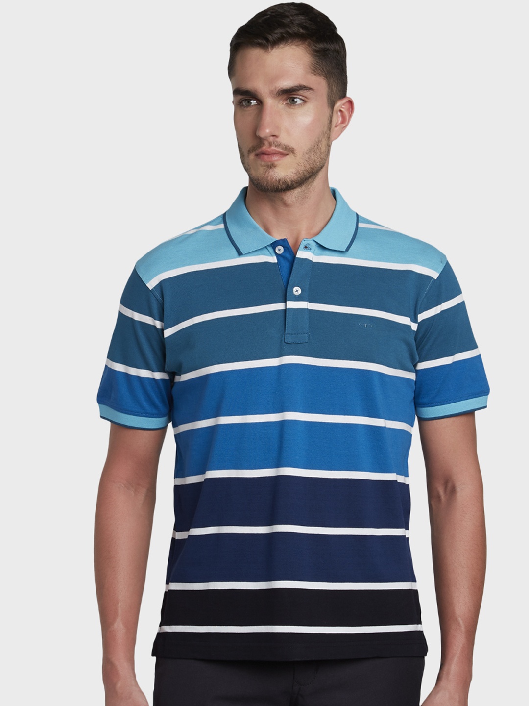 

ColorPlus Men Blue & White Striped Polo Collar T-shirt