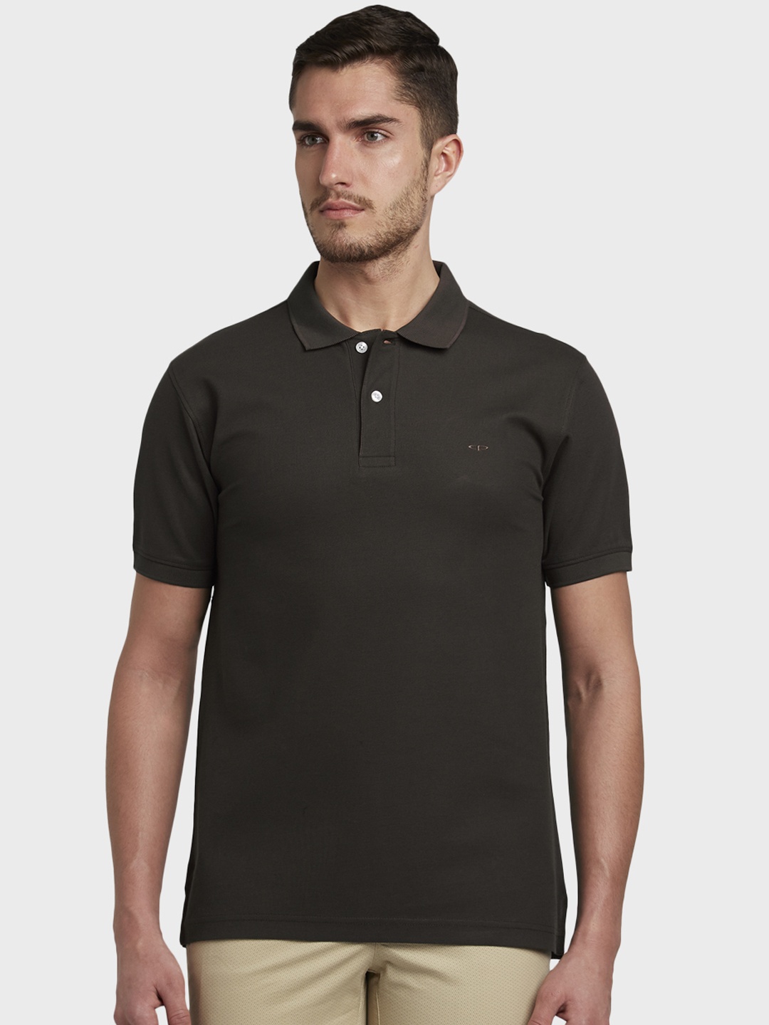 

ColorPlus Men Brown Solid Polo Collar T-shirt
