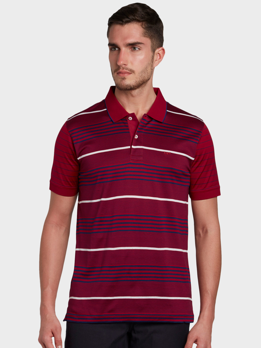 

ColorPlus Men Maroon & Navy Striped Polo Collar T-shirt