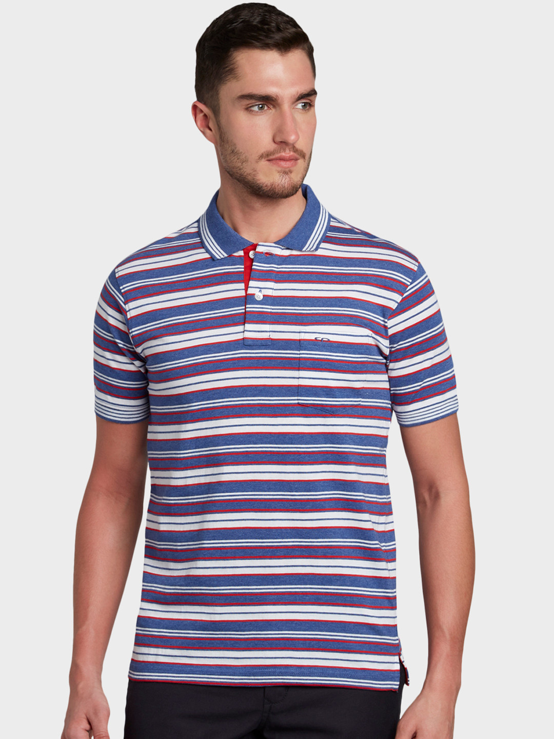 

ColorPlus Men Navy Blue & White Striped Polo Collar T-shirt