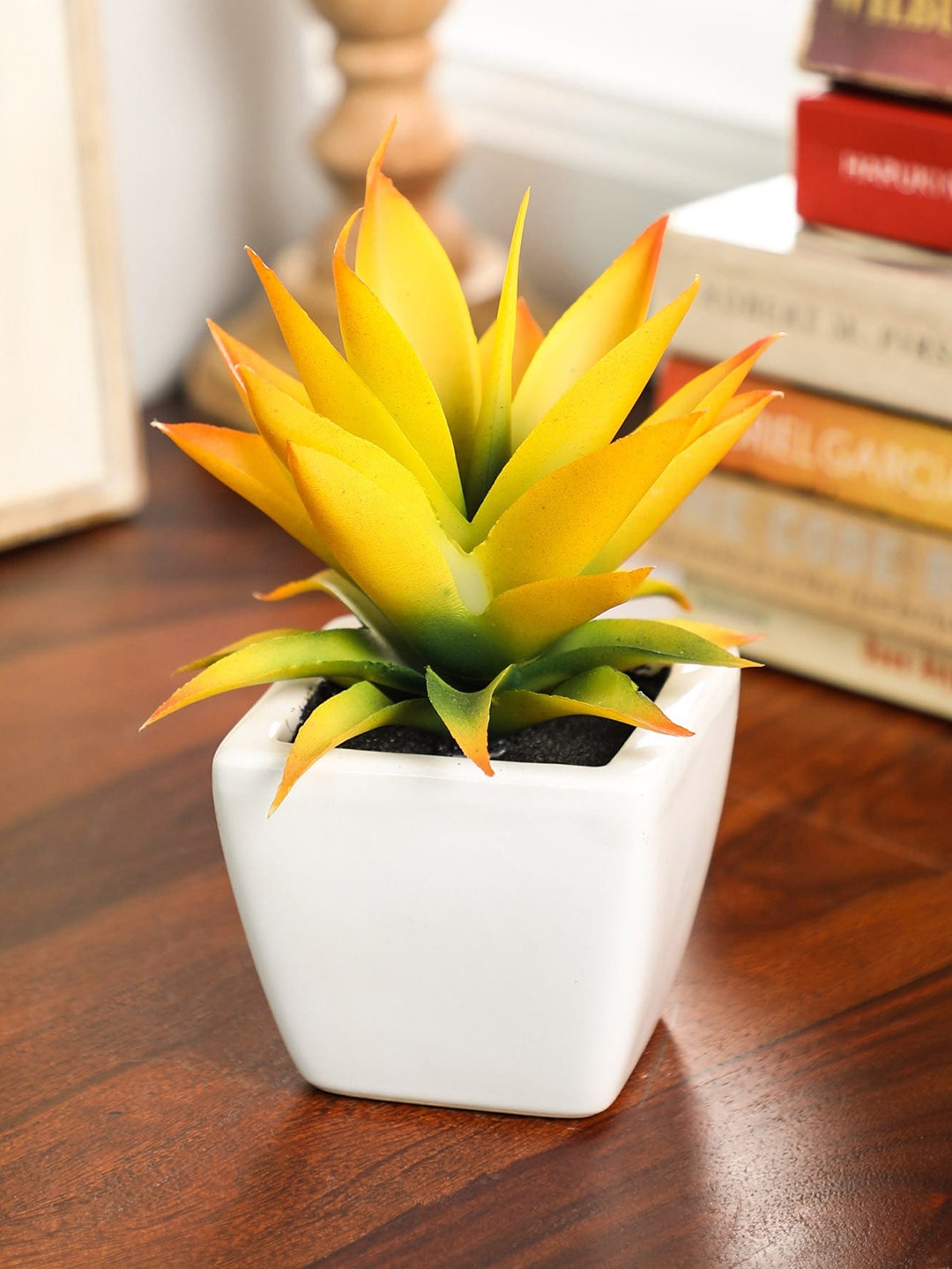 

PolliNation Yellow Artificial Succulent Plant With White Ceramic Pot