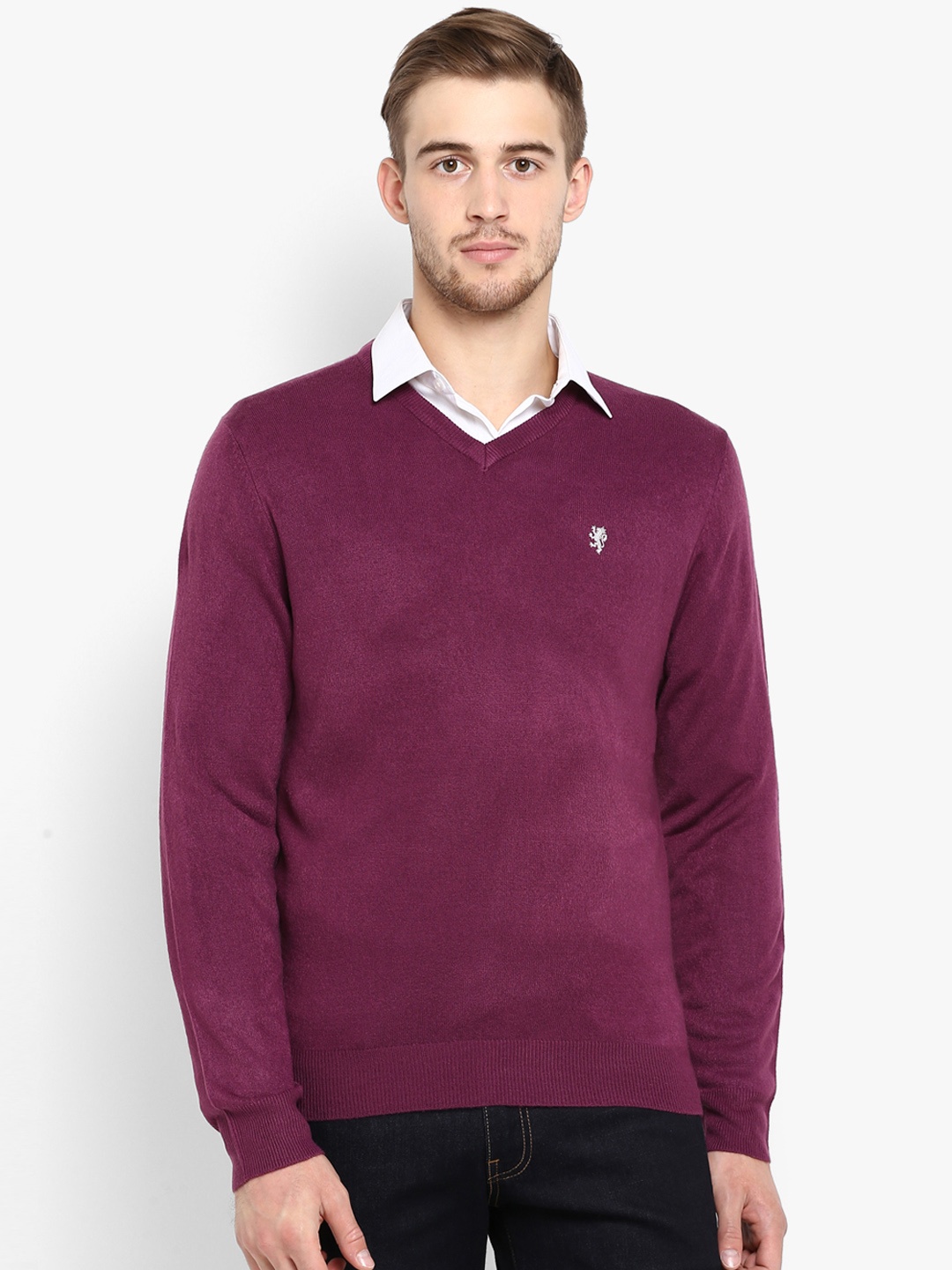 

Red Tape Men Purple Solid Sweater