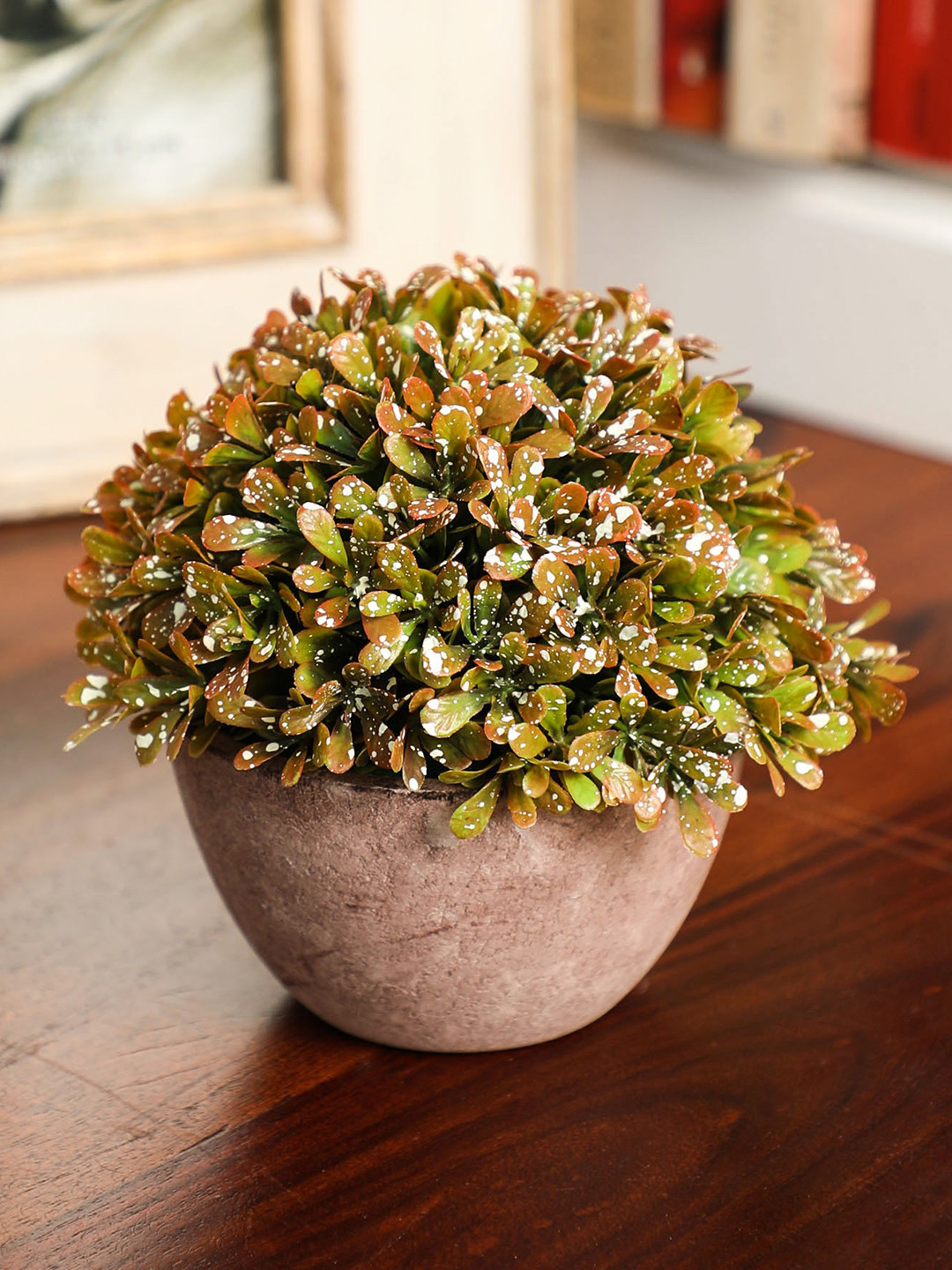 

PolliNation Brown Set of 2 Artificial Bonsai, Multi