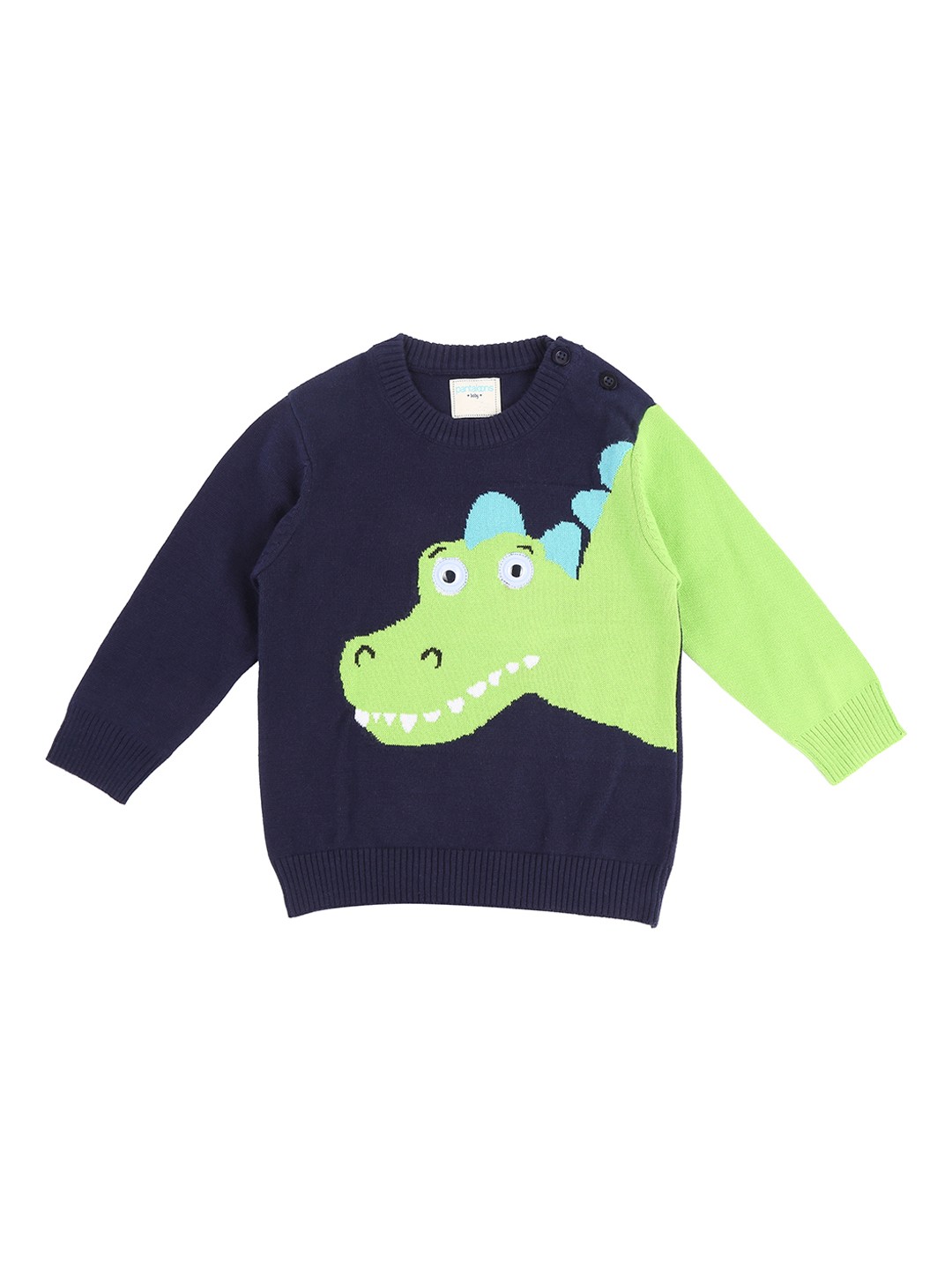 

Pantaloons Baby Boys Navy Blue & Green Printed Sweater