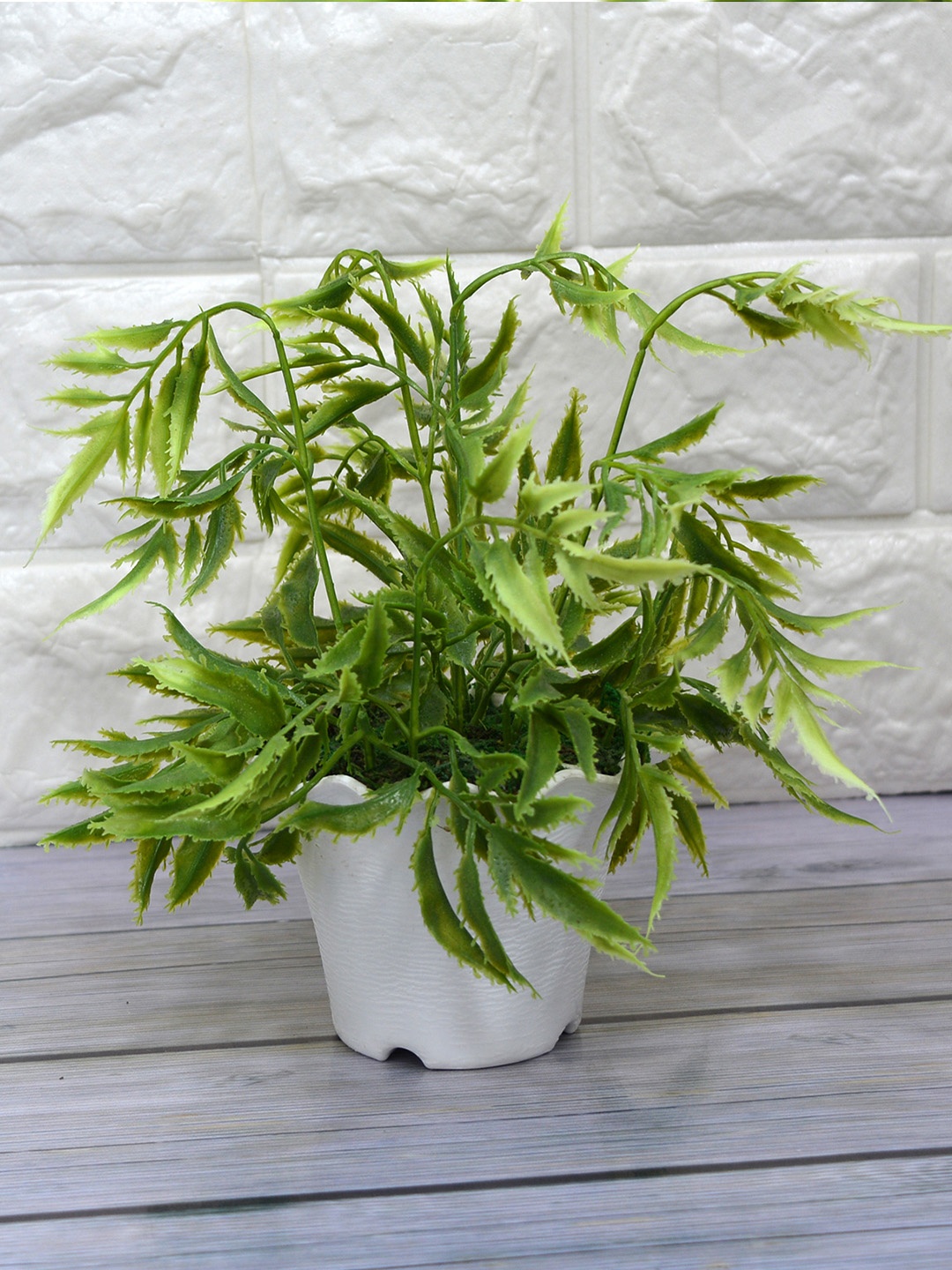

fancy mart Unisex Yellow & Green Artificial Palaplai Plant With Pot