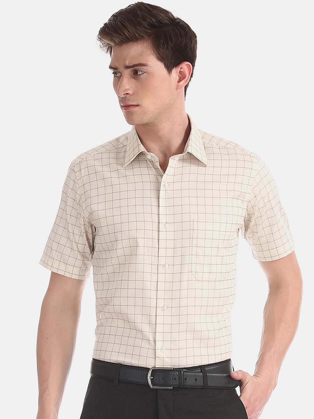 

Arrow Men Beige Regular Fit Checked Formal Shirt