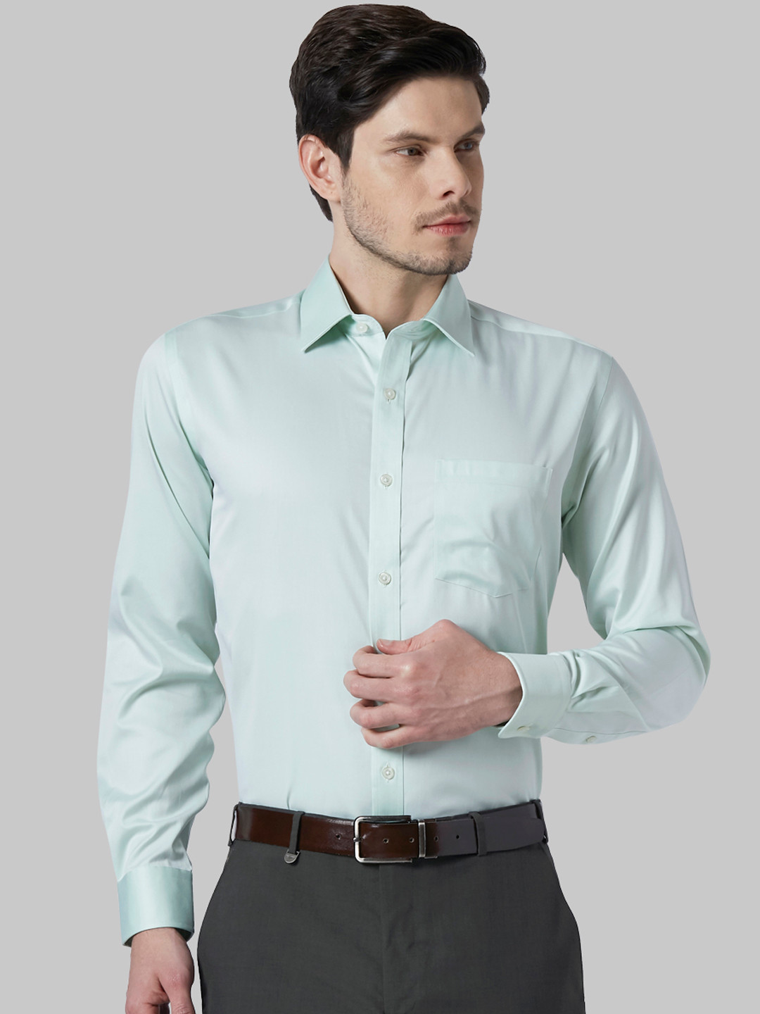 

Park Avenue Men Green Regular Fit Solid Formal Shirt