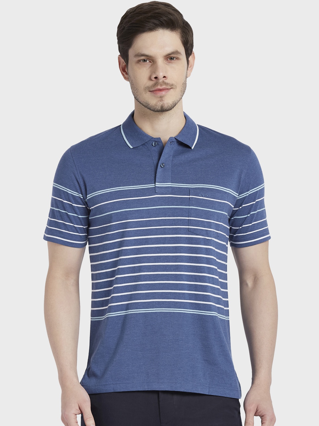 

ColorPlus Men Blue & White Striped Polo Collar T-shirt