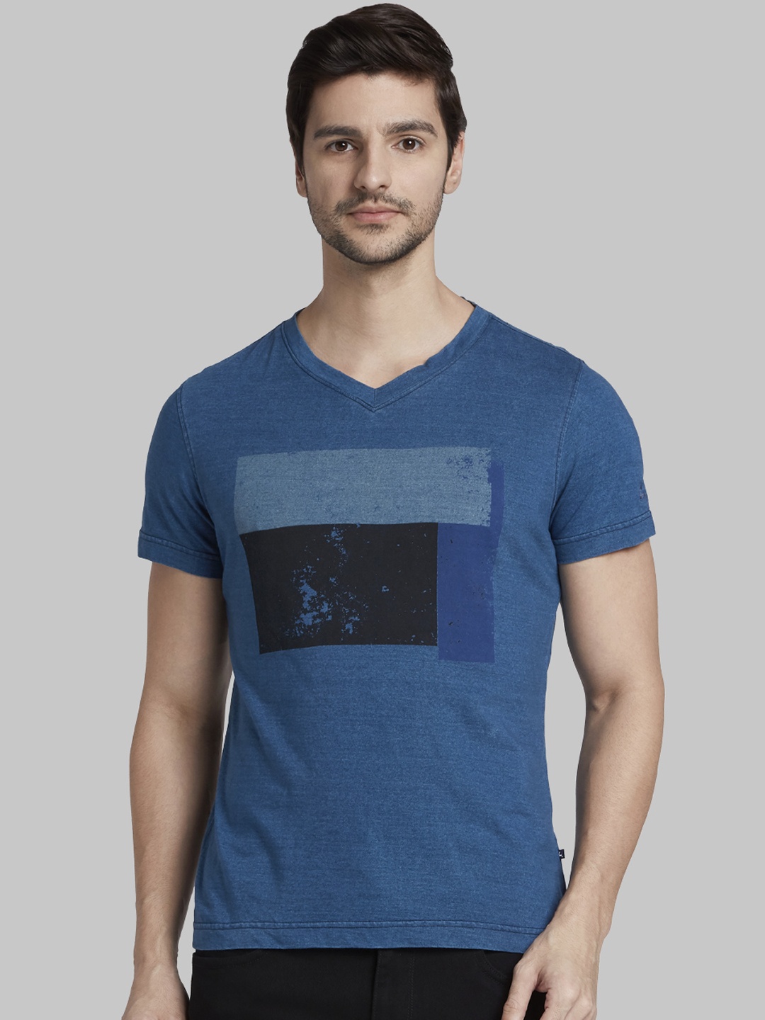 

Parx Men Blue Printed V-Neck T-shirt