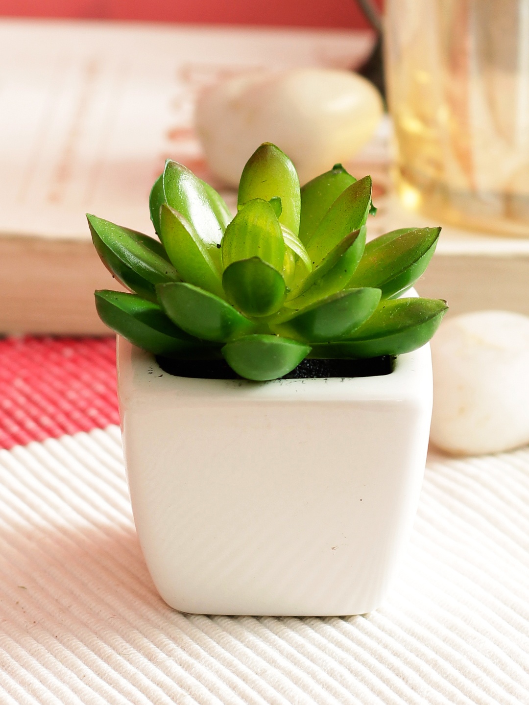 

PolliNation Green Set of 2 Artificial Succulent Plant With White Ceramic Pot