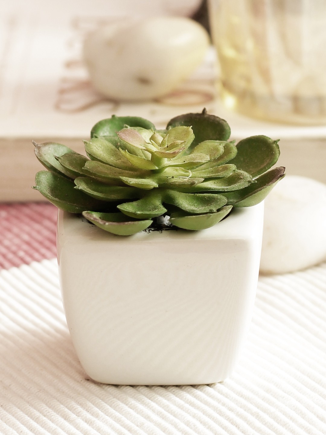 

PolliNation Green Set of 2 Artificial Succulent Plant With White Pot