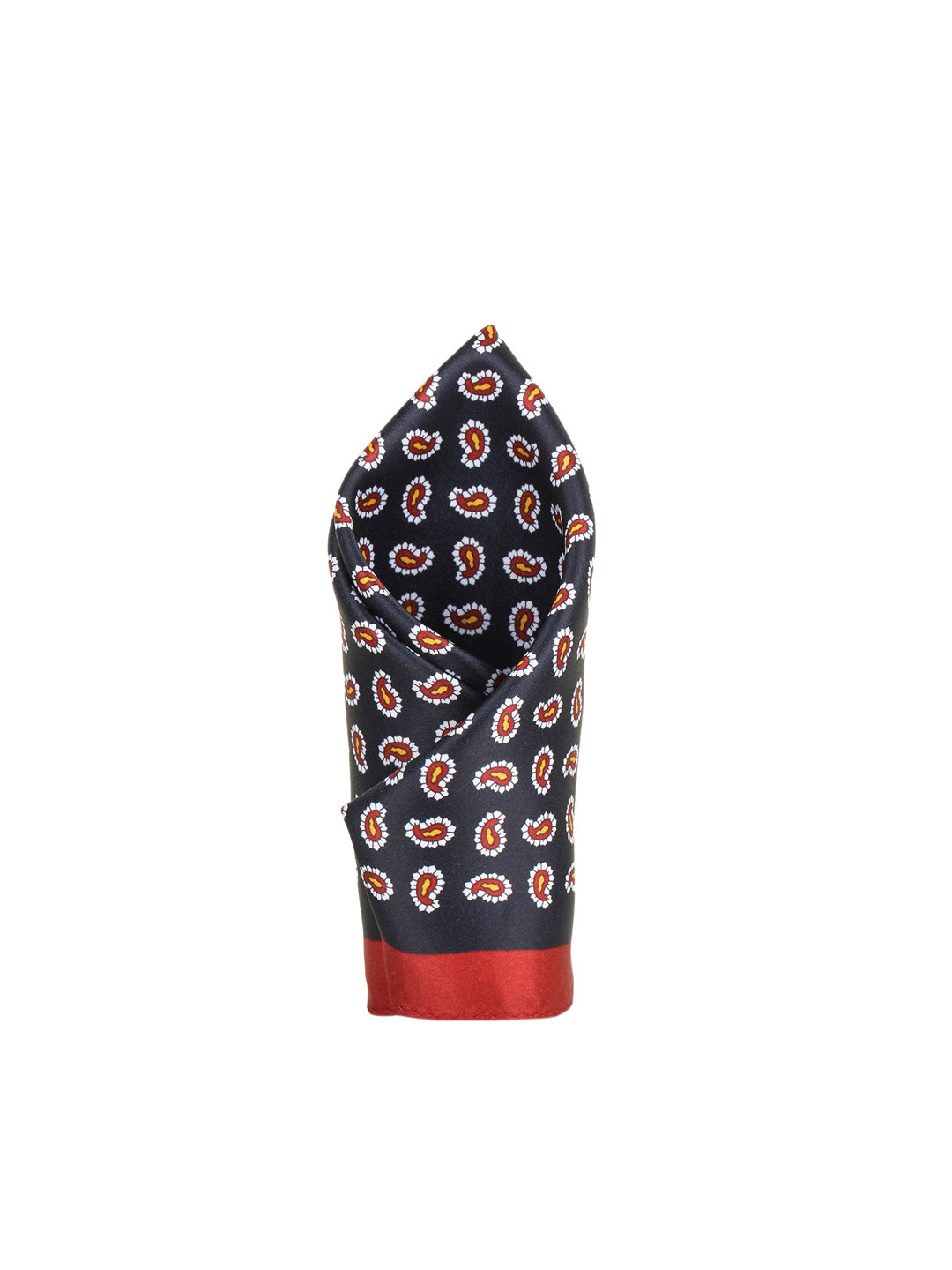 

Alvaro Castagnino Men Black & Red Printed Pocket Square