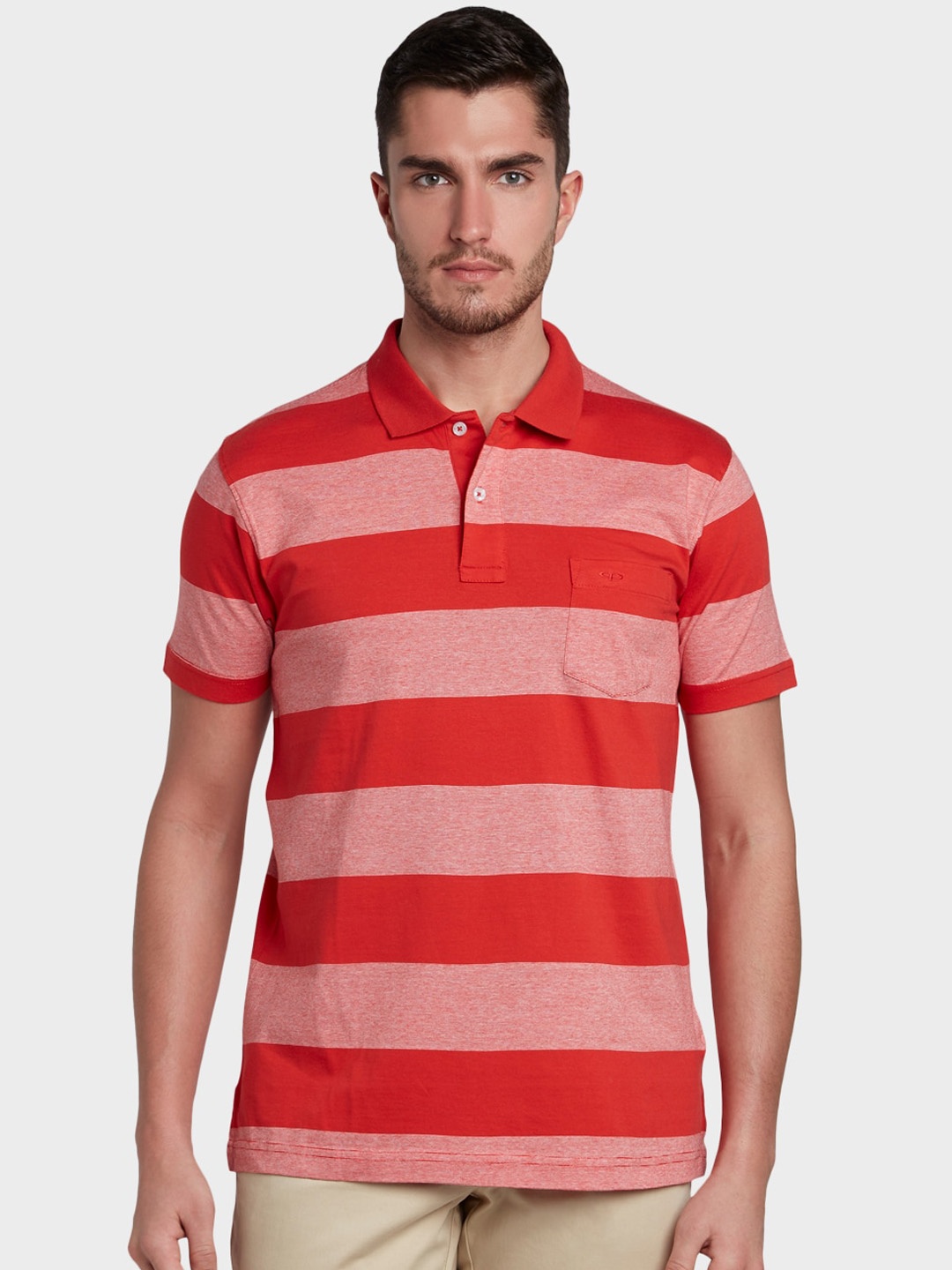 ColorPlus Men Red Striped Polo Collar T-shirt