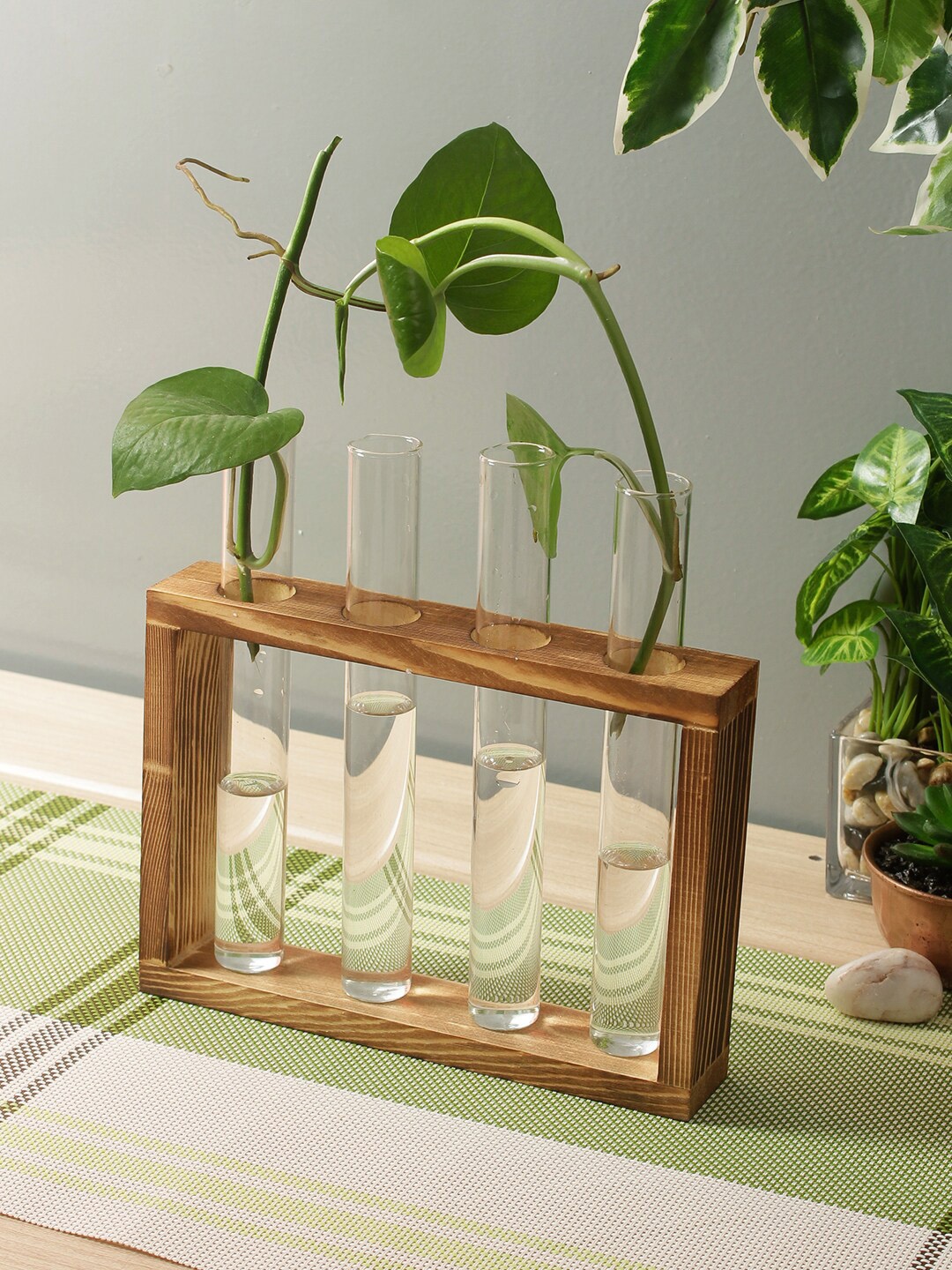

TAYHAA Set Of 4 White & Brown Flower Vase With Stand, Transparent