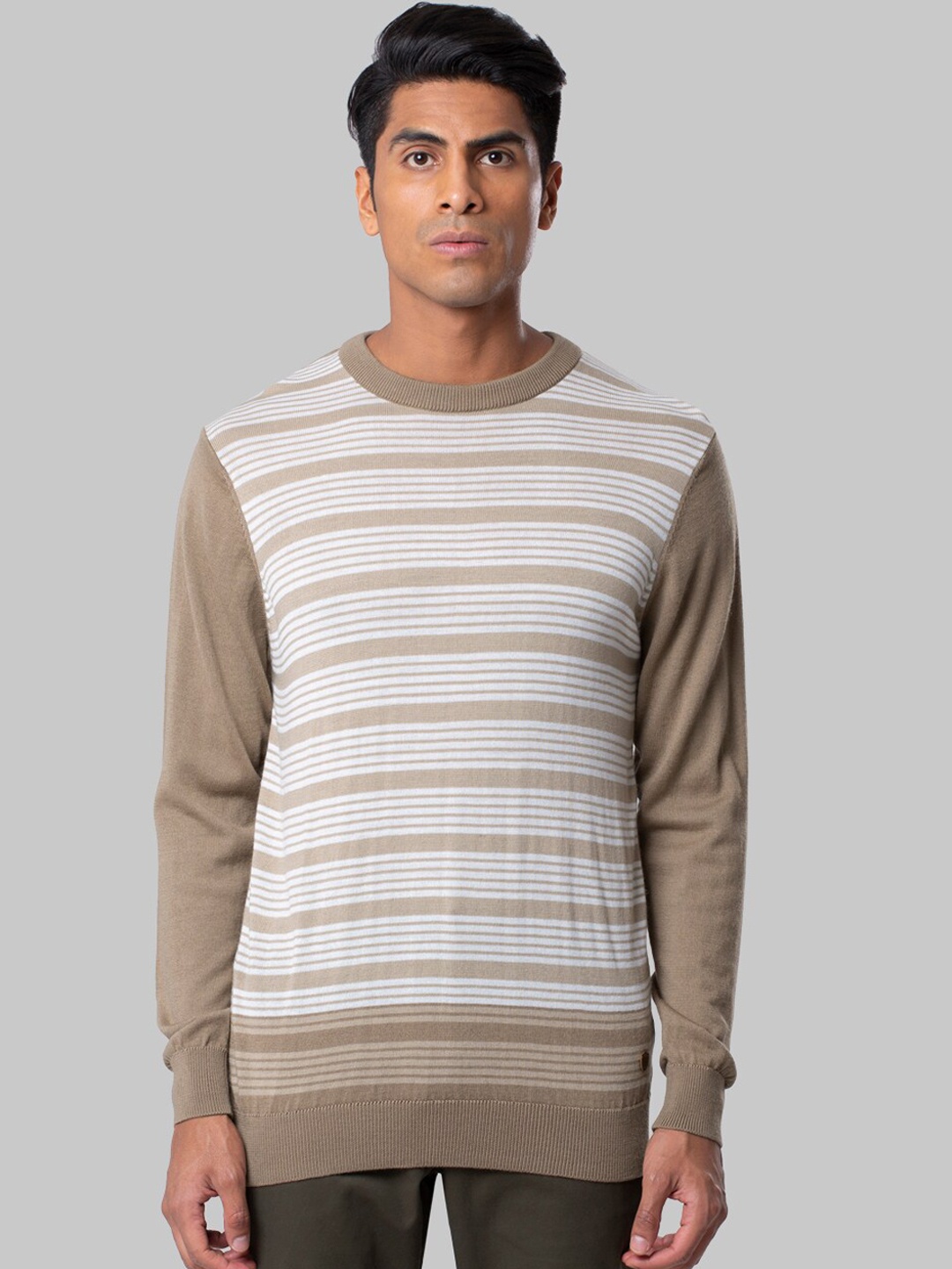 

Raymond Men Beige & White Striped Pullover Sweater