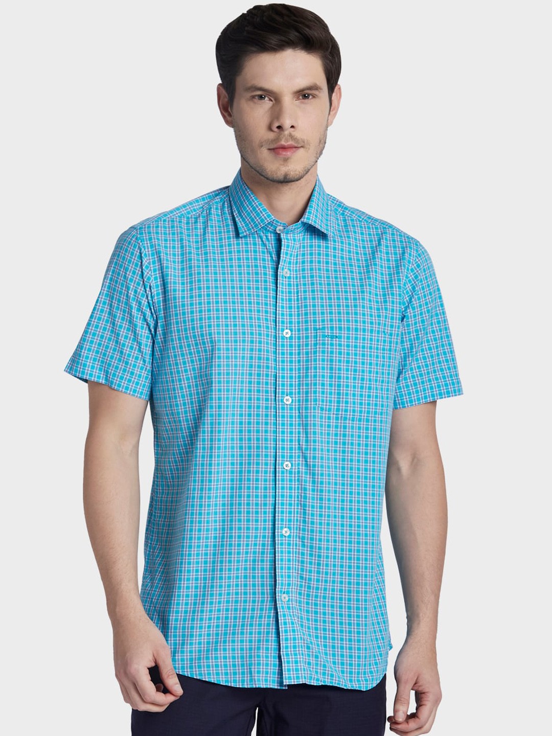 

ColorPlus Men Blue Tailored Fit Checked Casual Shirt