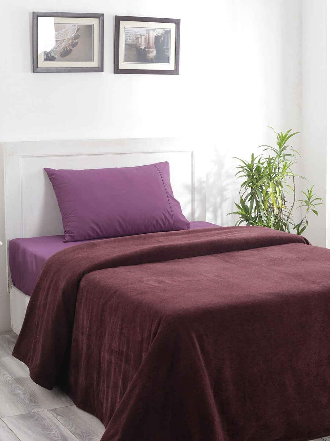 

MASPAR Burgundy Solid Charlotte 310 GSM Single Bed Cover