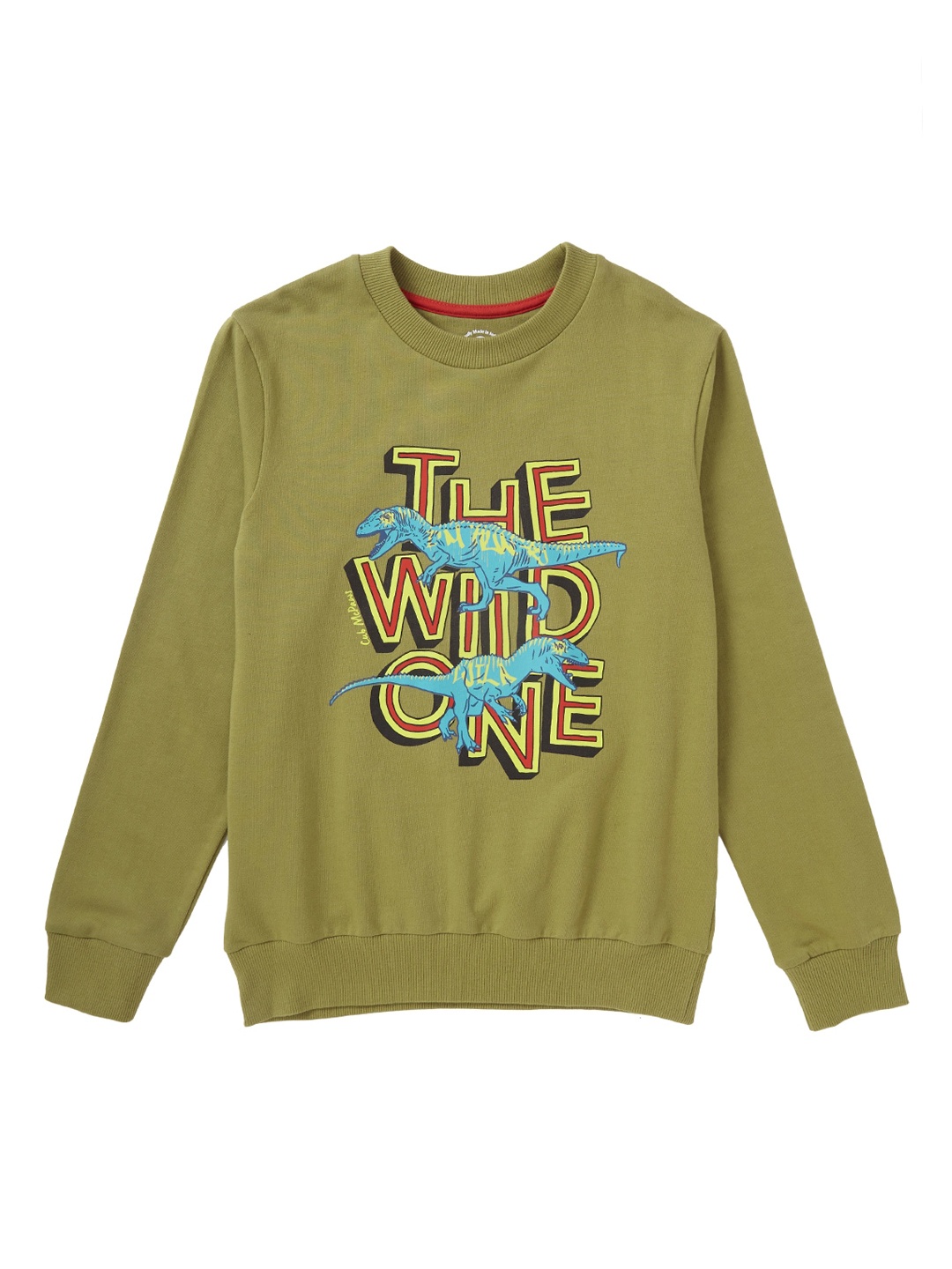 

Cub McPaws Boys Olive Green Printed Sweatshirt