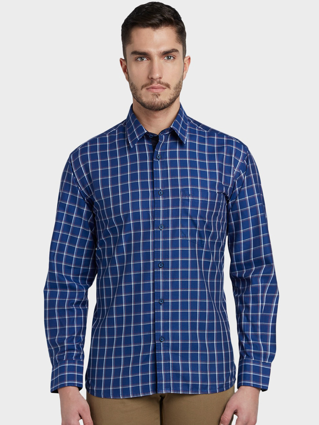 

ColorPlus Men Blue Regular Fit Checked Casual Shirt