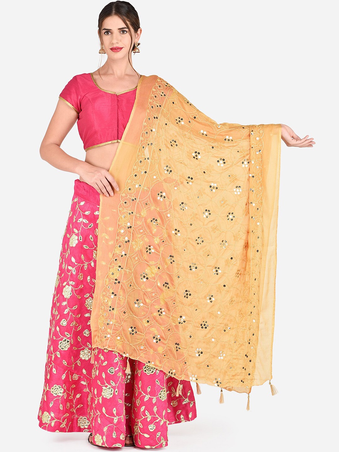 

Dupatta Bazaar Beige Embroidered Chiffon Dupatta