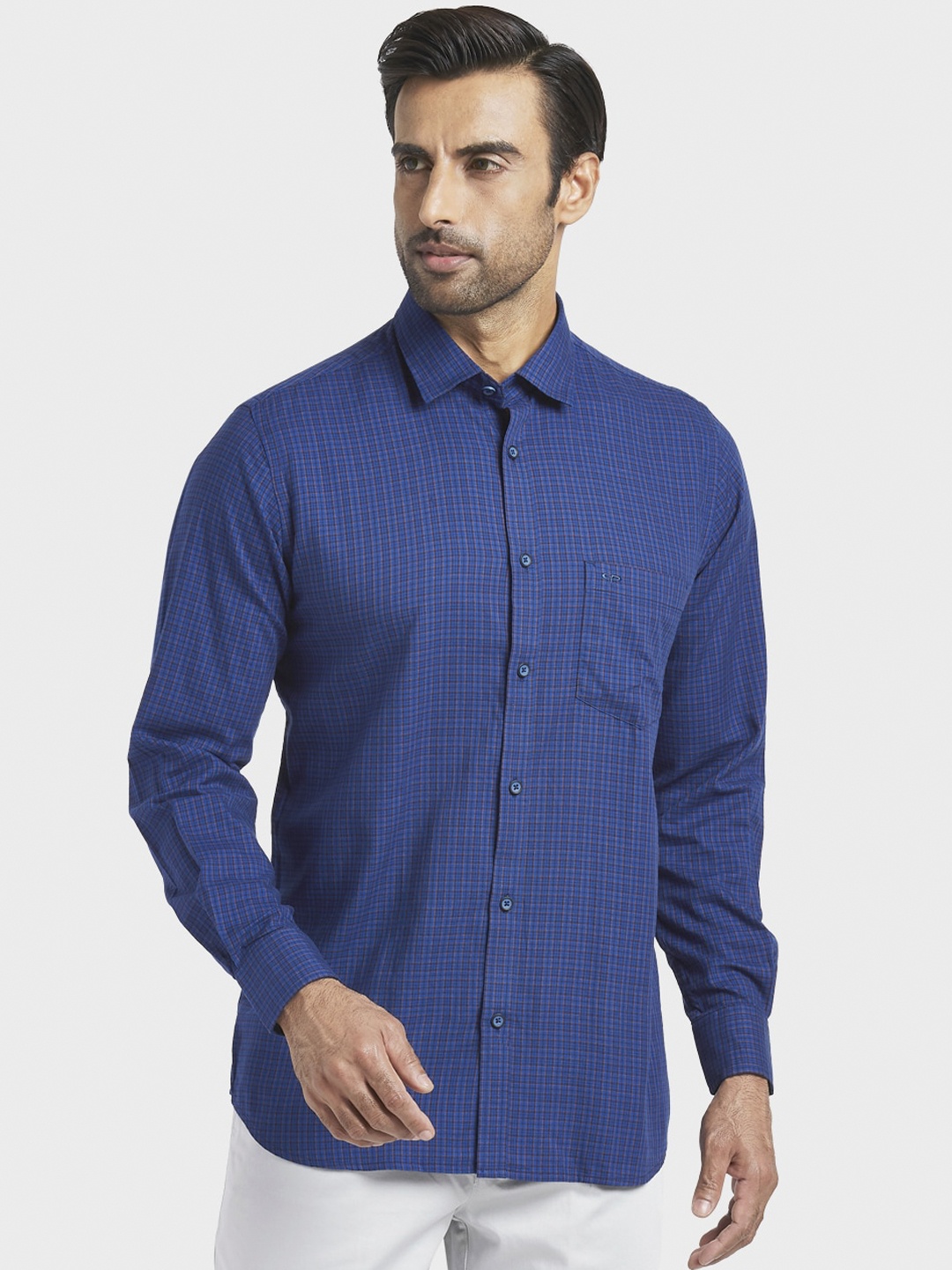 

ColorPlus Men Blue Regular Fit Checked Casual Shirt