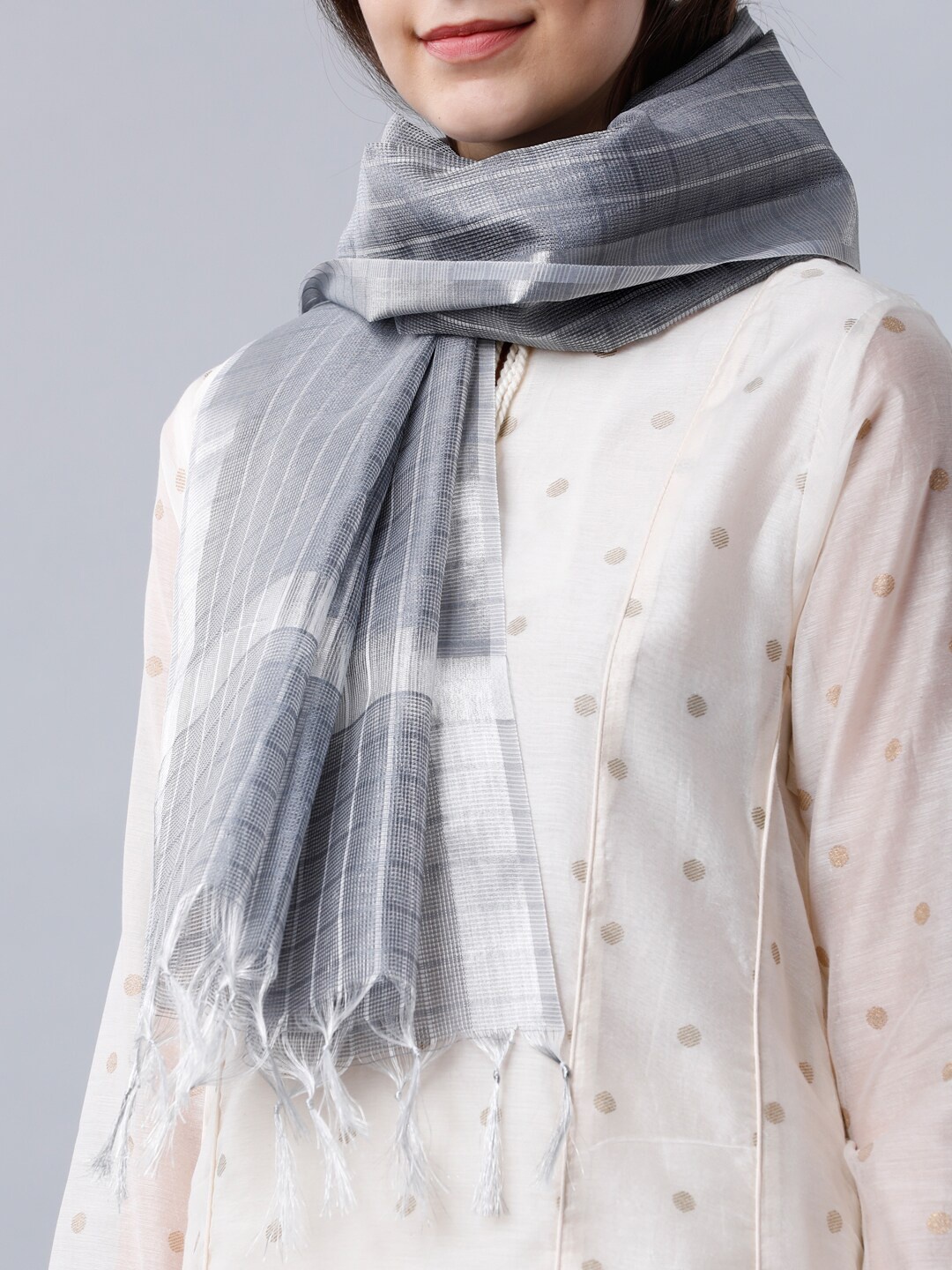 

Vishudh Grey & Silver-Toned Checked Dupatta