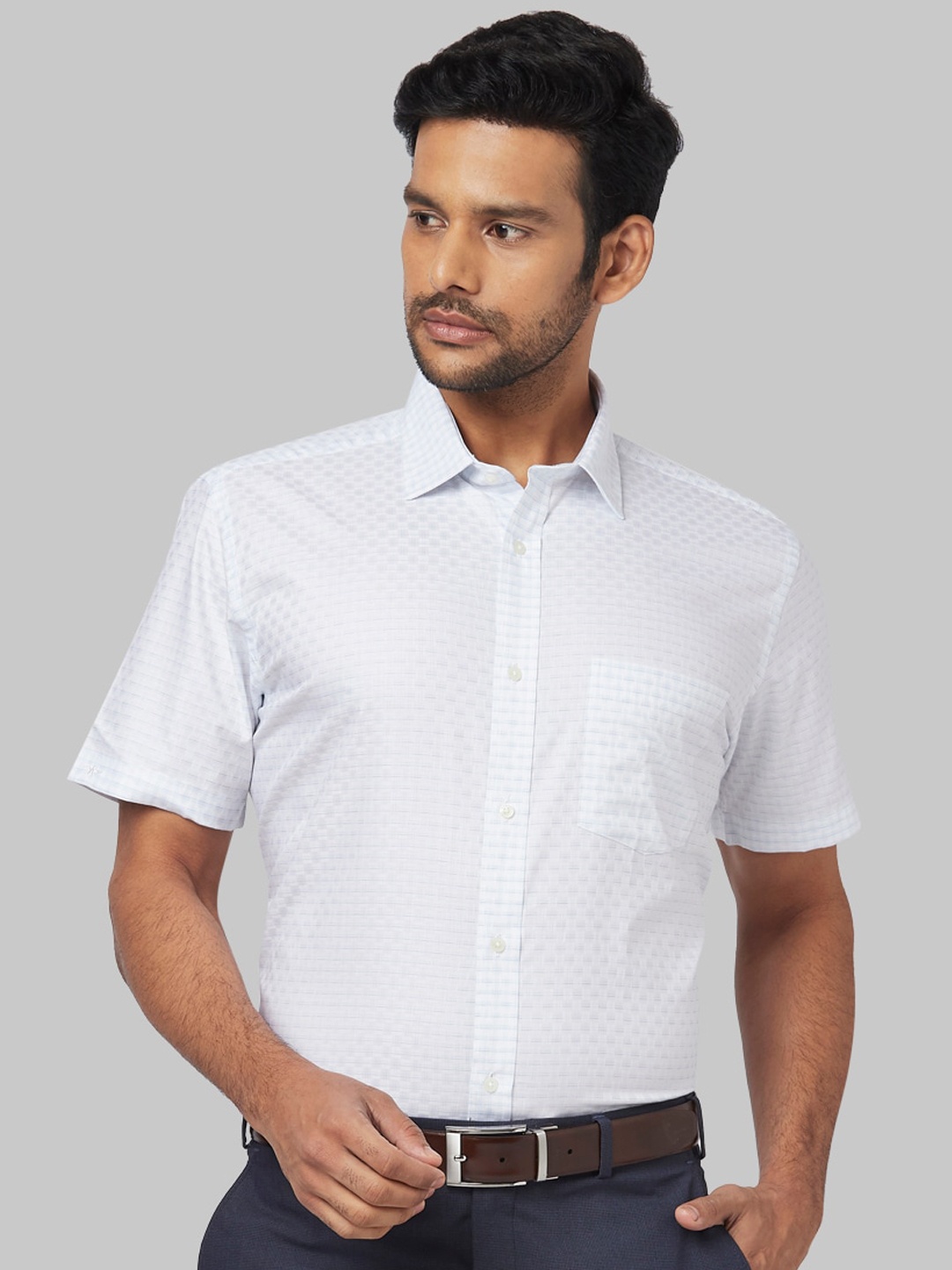 

Park Avenue Men Blue Regular Fit Checked Casual Shirt