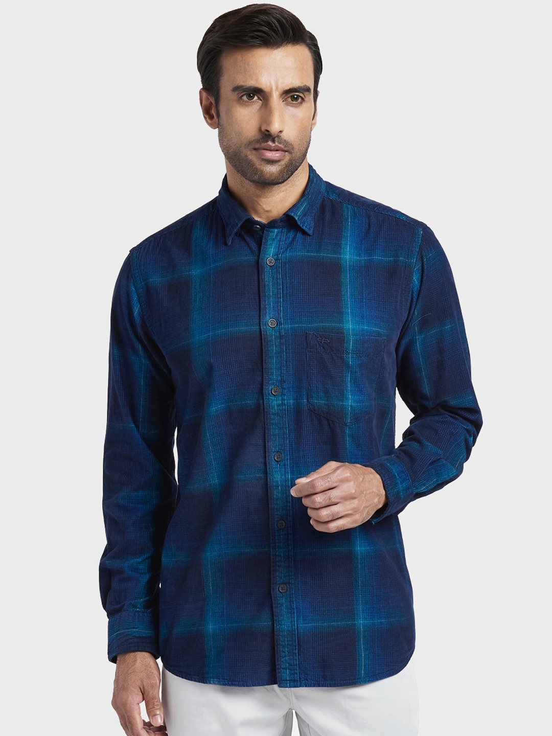 

ColorPlus Men Blue Regular Fit Checked Casual Shirt