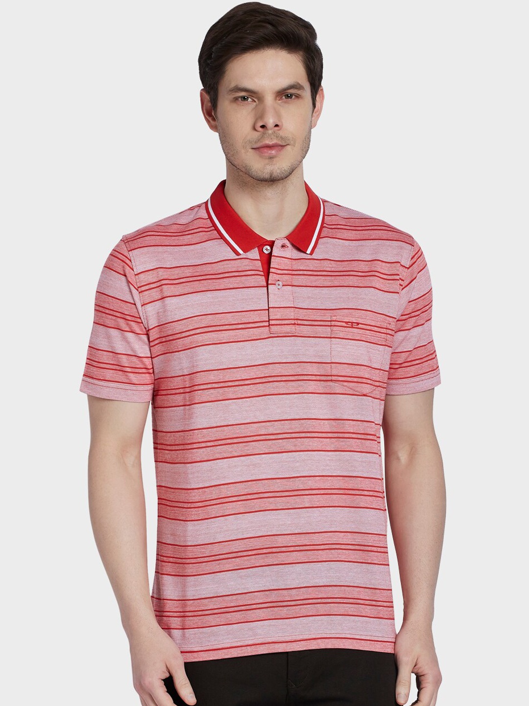 

ColorPlus Men Red & Grey Striped Polo Collar T-shirt