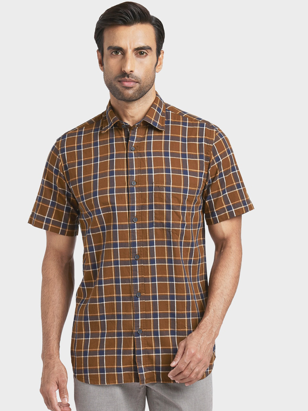 

ColorPlus Men Brown & Navy Blue Regular Fit Checked Casual Shirt