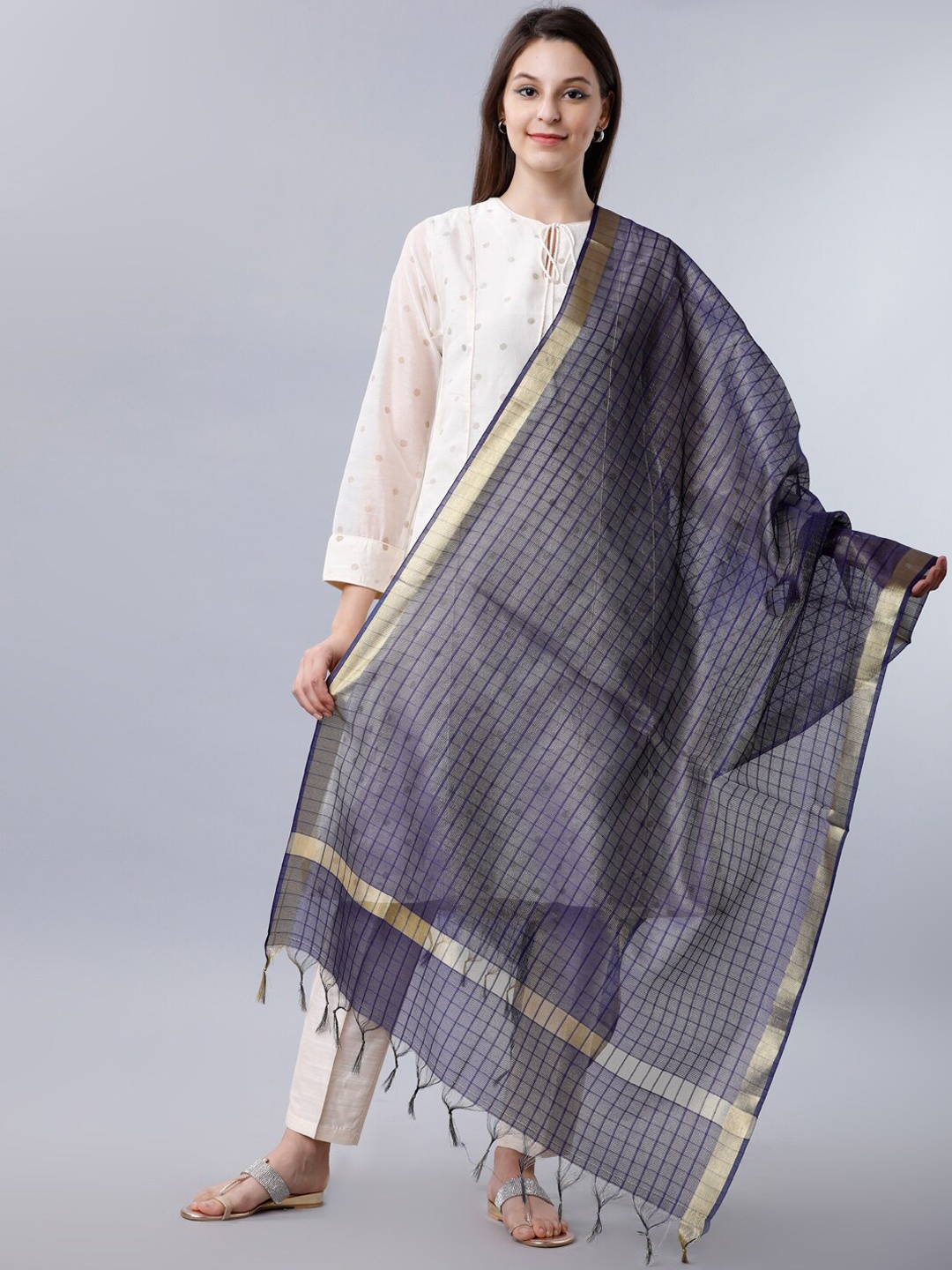 Vishudh Women Navy Blue Checked Dupatta