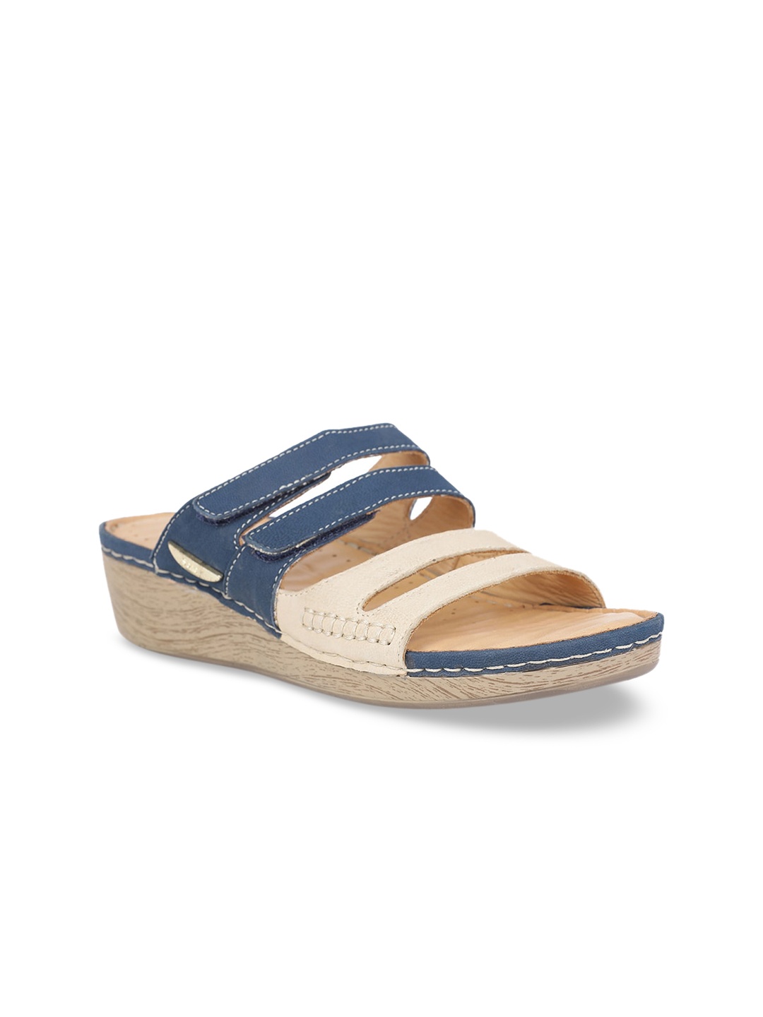 

Scholl Women Blue Colourblocked Wedges