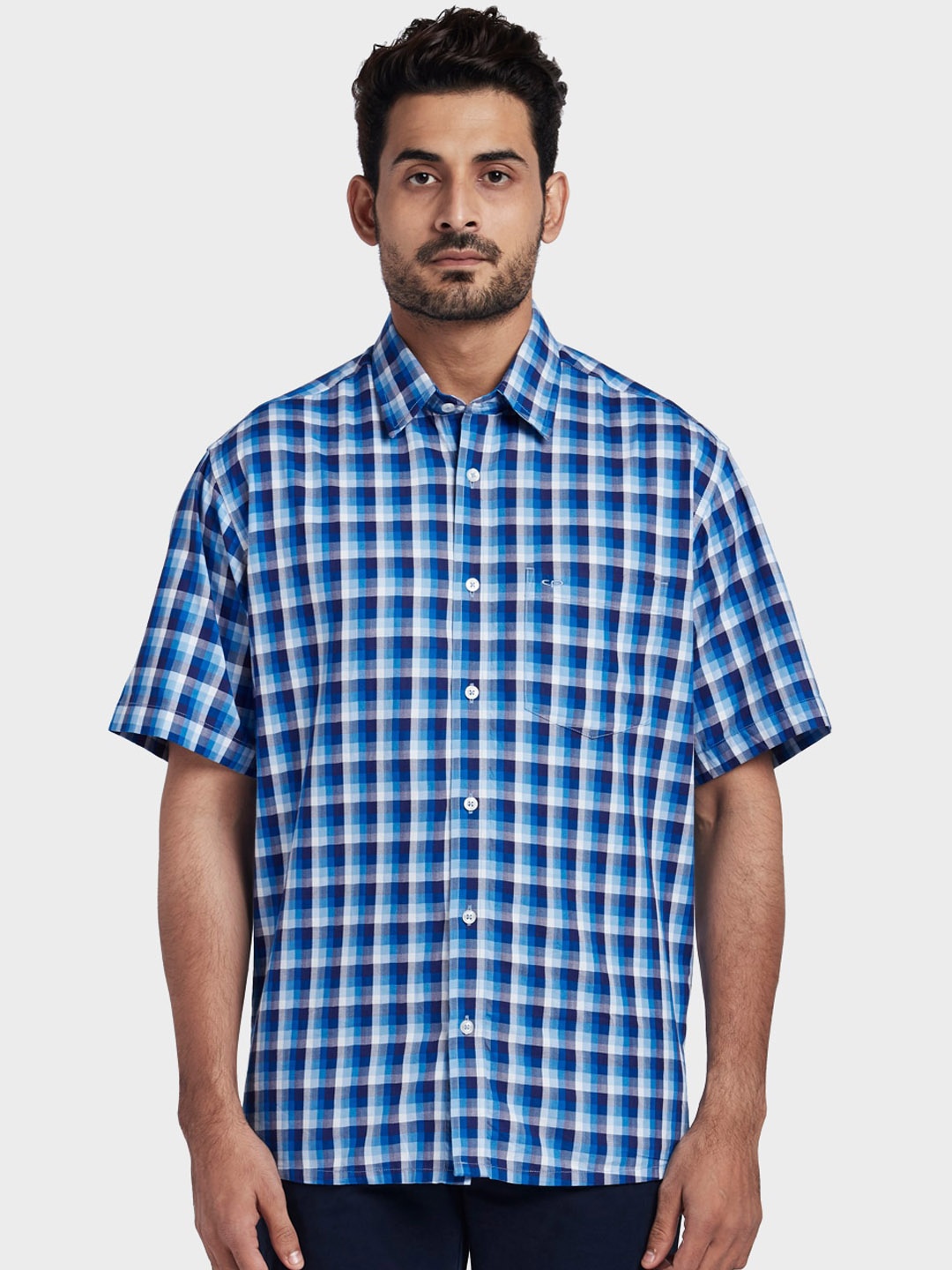 

ColorPlus Men Blue & White Regular Fit Checked Casual Shirt