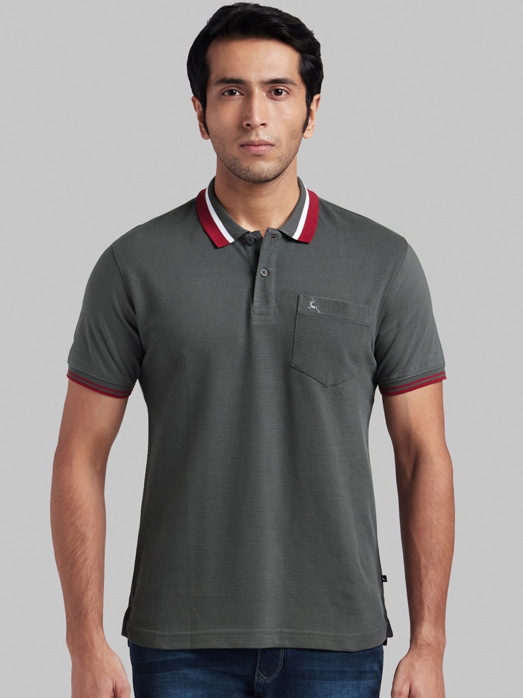 

Parx Men Grey Polo Collar Cotton T-shirt