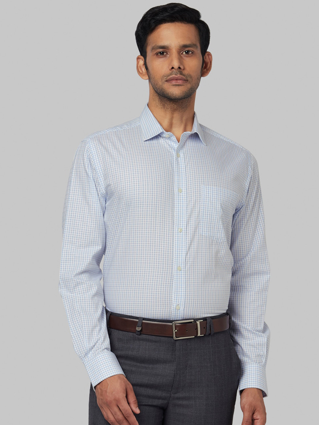 

Park Avenue Men Blue Regular Fit Checked Formal Shirt