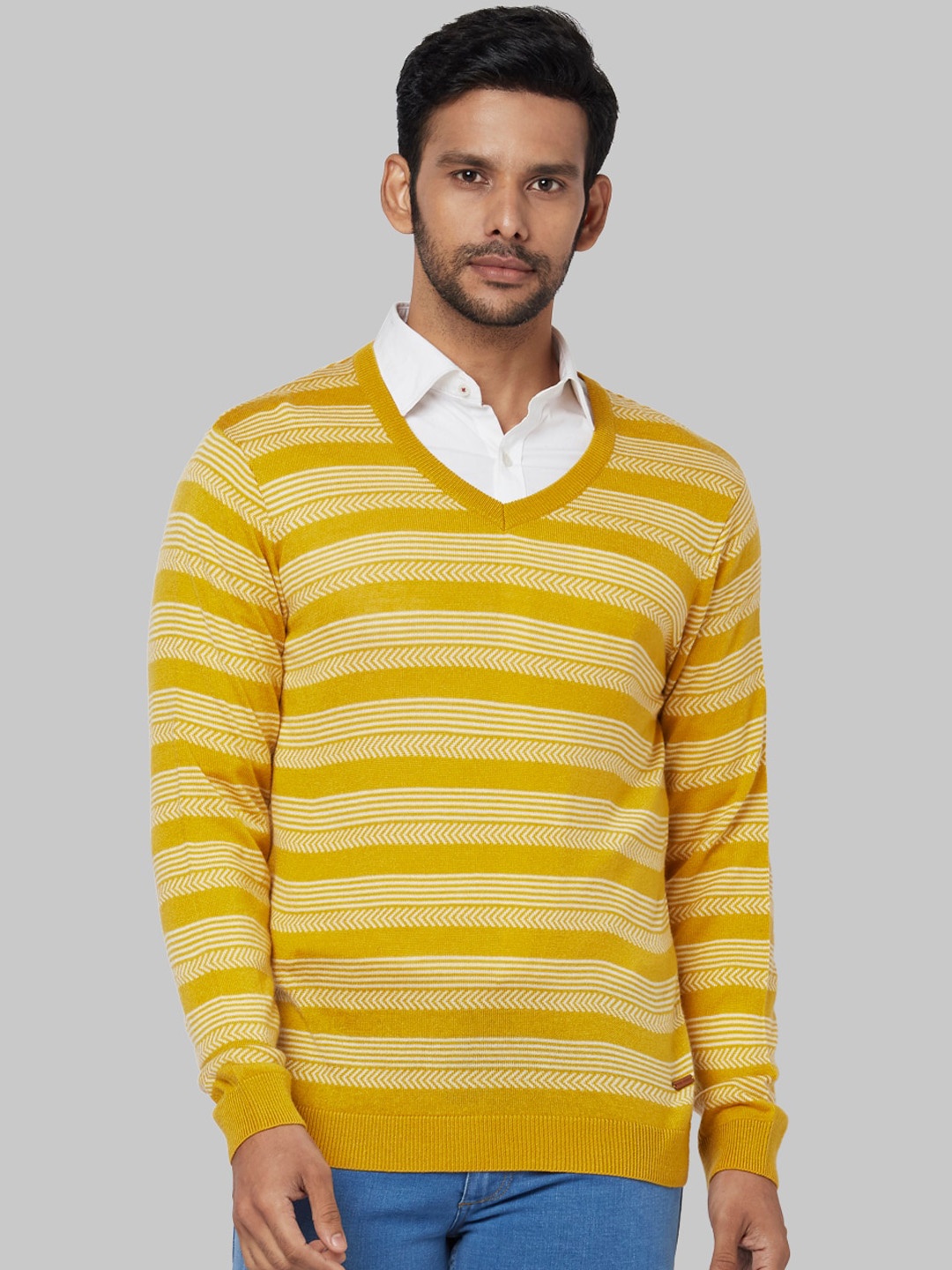 

Park Avenue Men Yellow & White Striped Sweater